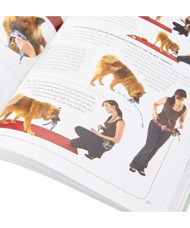 Interpet Brain Games For Dogs: Fun Ways to Build a Strong Bond with Your Dog and Provide it with Vital Mental Stimulation - Buy Online on GoSupps.com