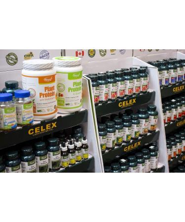 VORST Bee Propolis Extract 500mg 3 x 90 Capsules | Antioxidant Supplement for Common Colds & Flu and Boosting Immune System | Alternative to Liquide Tincture & Throat Spay | 3 Bottles 90 count (Pack of 3) - Buy Online on GoSupps.com