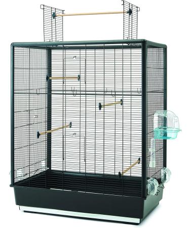 Savic Blue Bird Cage Bath for Small and Medium Birds - Easy Clean and Fun Bird Bath Option - Buy Online on GoSupps.com