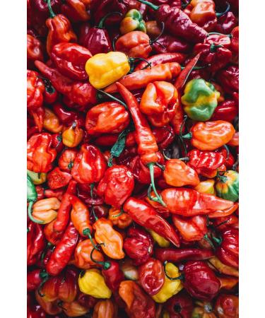 Hot sauce. Pack 3 hot sauces from IBIZA. 1) Smoked Habanero hot sauce. 2) Yellow Carolina Reaper sauce. 3) Red Carolina Reaper sauce. Hot sauces Perfect pack for your recipes. - Buy Online on GoSupps.com