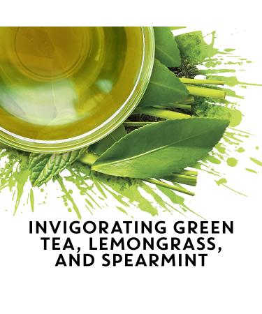 Tazo Green Tea Zen K-Cups - 22 Pods, Pack of 1 | Organic Zen Green Tea - Buy Online on GoSupps.com