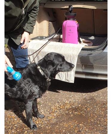 Petacarium Insulated Portable Shower (5 Litre Blue) for Dogs Camping Paddleboarding Muddy Walks 5 l (Pack of 1) Blue - Buy Online on GoSupps.com