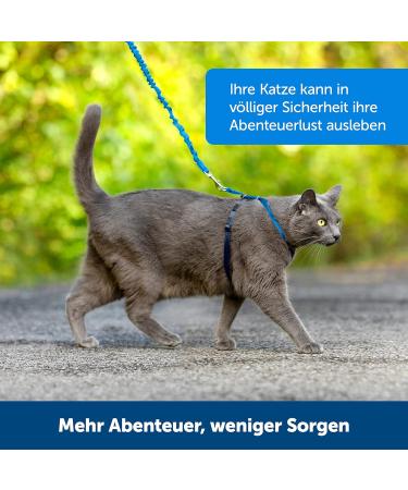 Shop PetSafe Easy Walk Cat Harness - Elastic Bungee Leash for Walking Cats Size L Blue - International Shipping Available - Buy Online on GoSupps.com