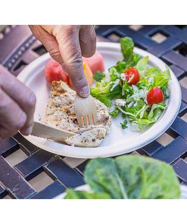 WoodAble Disposable Wooden Cutlery Mix - 200 Count | Backyard Compostable | 80 Forks, 80 Spoons, 40 Knives - Buy Online on GoSupps.com