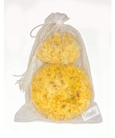 Premium Natural Sea Wool Sponges - 2 Soft Real Sponges 6-7 (Large) & 3- 4 (Medium)  Perfect Luxury Gift for Bath  Shower and Cosmetic Facial Cleansing by Constantia Beauty 