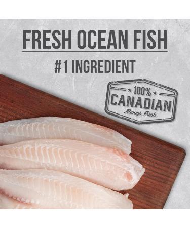 Nutrience Infusion Healthy Adult Indoor Cat Food Ocean Fish 2.27 kg (5 lb) Bag - Buy Online on GoSupps.com