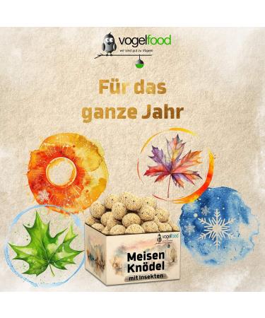 Buy 100 x 90g Insect Fat Balls - Year-Round Wild Bird Food | 9kg No Net Dumplings - Buy Online on GoSupps.com