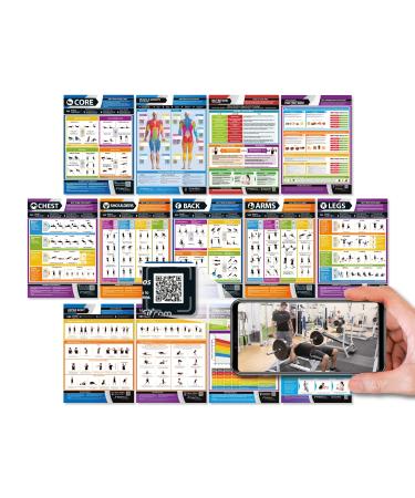 Workout Posters for Home Gym | Muscle Group Gym Poster | Exercise Posters | Laminated Gym or Home Workout Chart | Free Video Training Support | Large Size 33" X 23.5" | Set of 13 24" x 16.5"