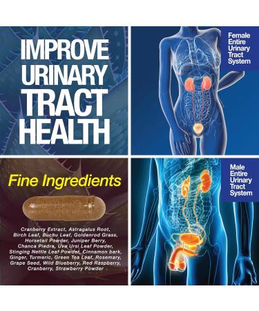 Saint Mingiano Kidney Support Cleanse Detox & Repair - with - Eye Care & Vision Vitamins - Buy Online on GoSupps.com