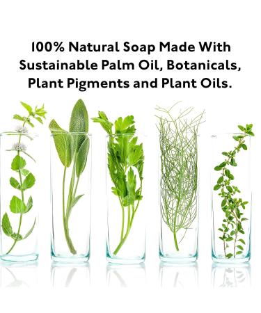 Dead Sea Salt Mud Charcoal 4 oz Soap Variety 3 Pack with Shea Butter and Argan Oil - 100% Natural for All Skin Types - Pack of 3 - Buy Online on GoSupps.com