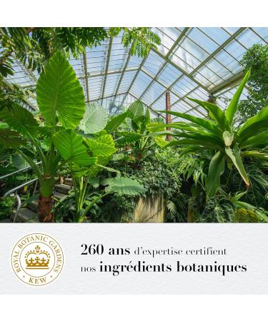 Herbal Essences Pure Passionflower and Rice Milk Nutrition Shampoo 90% natural ingredients Paraben-free Dye-free Silicone-free Paraffin-free 250ml x3 pack - Buy Online on GoSupps.com