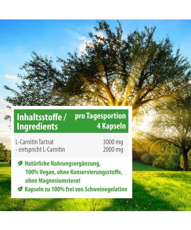 Buy My Vita L-Carnitin 3000 - 200 Vegan Capsules | High-Dose 3000 mg | Premium L-Carnitin Tartrat | Laboratory Tested | High Bioavailability | International Shipping Available - Buy Online on GoSupps.com