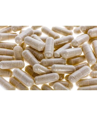 G.I. Detox Capsules - Cleanse, Soothe, and Replenish for Gastrointestinal Health (90 Capsules) - Buy Online on GoSupps.com