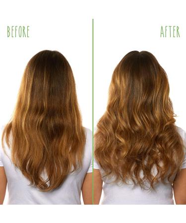 Biolage All-In-One Coconut Infusion | Multi-Benefit Treatment Spray For All Hair Needs | With Coconut | For All Hair Types | Sulfate & Paraben-Free | Vegan 13.5 Fl Oz (Pack of 1) - Buy Online on GoSupps.com