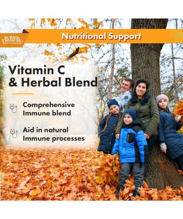 Buried Treasure Adult Daily Immune Wellness, 16oz with Dose Cup, Elderberry Echinacea VIT-C Zinc, Mushroom Blend, Natural Immune Booster - Buy Online on GoSupps.com