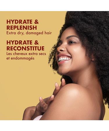 Shea Moisture Conditioner - Sulfate-Free Manuka Honey & Mafura Oil for Dry Damaged Hair | Curly Hair Care - 13 Fl Oz (Pack of 2 - Buy Online on GoSupps.com