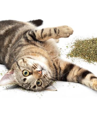 SmartyKat Organic Catnip - 0.5oz Resealable Pouch for Cats & Kittens - Buy Online on GoSupps.com