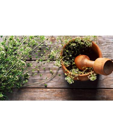 Shepherd's Purse Herb Tea | Capsella Bursa Pastoris | Bourse Pasteur Tisane | Health Embassy (50g) - Buy Online on GoSupps.com