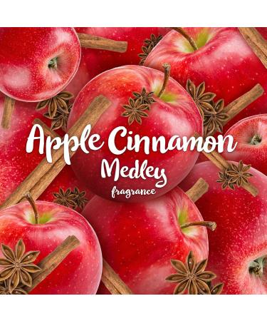 Air Wick Apple Cinnamon Plug-In Scented Oil Starter Kit + 3 Refills | Fall Scented Essential Oil Air Freshener - International Shipping Available - Buy Online on GoSupps.com