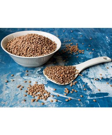 Organic Sproutable Whole Red Lentils 5lb - Non-GMO, Vegan & Kosher - High Protein & Fiber - Ideal for Soups, Stews & Curries - Buy Online on GoSupps.com