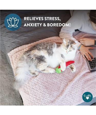 OurPets 100% North American Catnip Filled Cat Toys - Interactive Cat Toy for Indoor Cats & Kittens - Chew Toy & Catnip Toys for Cats - Great for Catnip Lovers - Hot Stuff! - Buy Online on GoSupps.com