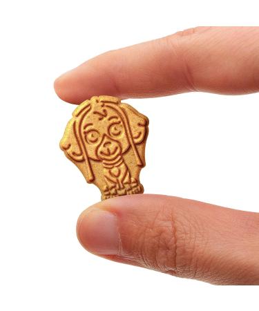 Kellogg's PAW Patrol Cinnamon Graham Snacks - 11oz Box, Whole Grain - Buy Online on GoSupps.com