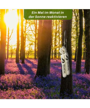 BlueFox I Air Purifier & Dehumidifier - Activated Carbon 2x150g | Odor Remover & Freshener for Boots & Shoes - Buy Online on GoSupps.com