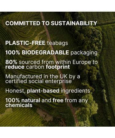 Calming Infusion Tea for Sleep, Anxiety & Stress Relief - 20 All-Natural Teabags - Buy Online on GoSupps.com