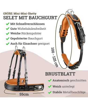 Esposita Professional Carriage Dishes for Shetty Pony & Horse | Mini Shetty to XL Cold Blood Routing Dishes in Black & Bright Brown - Buy Online on GoSupps.com