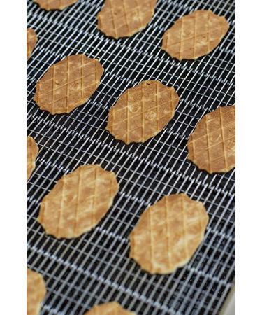 Jules Destrooper Butter Crisps - Caramelized Biscuits 3.5oz (Pack of 1) | Authentic Belgian Recipe - Buy Online on GoSupps.com
