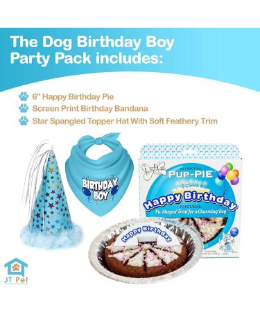 JT PET Dog Birthday Boy Party Pack: Bandana, Star Spangled Hat, Vegan Pie - Large Boy Dog - Buy Online on GoSupps.com