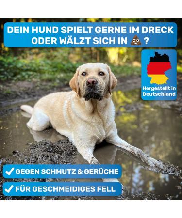 Bluepet Fellfein Sensitive Dog Shampoo - Odorless Vegan Made in Germany - Aloe Vera & Jojoba Oil for Shiny Fur | Bestselling Dog Care - Buy Online on GoSupps.com