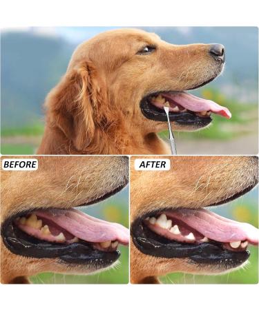 Tartar Remover Dog Tooth Cleaning Kit | Stainless Steel Dental Care Set | 5-Piece Tooth Cleaning Tool for Pets with Metal Case - Buy Online on GoSupps.com