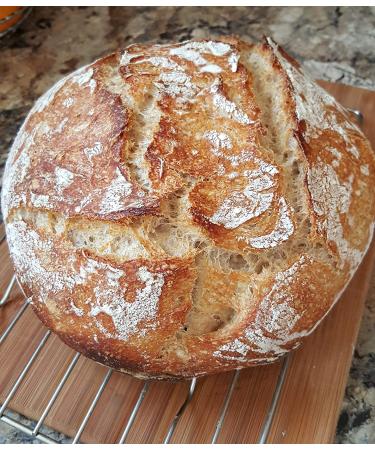 San Francisco Sourdough Dehydrated Starter - Contact Us for Top Customer Service and Expert Support - Buy Online on GoSupps.com