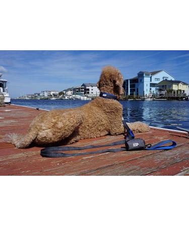 Black Rhino Comfort Collar - Soft Neoprene Dog Collar for All Breeds | Adjustable Reflective Weatherproof (Medium Blue/Black) - Shop Internationally! - Buy Online on GoSupps.com