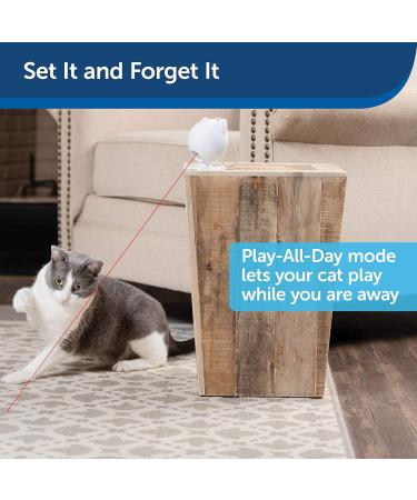 PetSafe Cat Dancing Dot Laser Cat Toy Automatic Laser Pointer 15 Minute Timer 3 AAA Batteries Required White - Buy Online on GoSupps.com