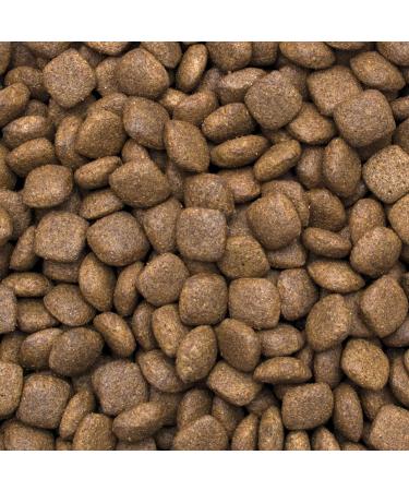 Premium Dog Food Rich in Salmon with Rice for Adult Medium and Large Breeds 12kg - Buy Online on GoSupps.com