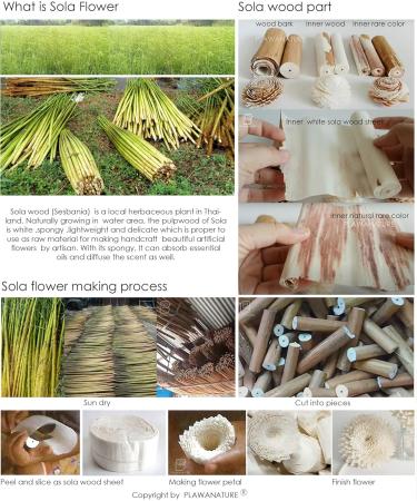 Shop Reed Diffuser with 18 Mixed Sola Wood Flowers - Premium Room Fragrance by Plawanature - International Shipping Available - Buy Online on GoSupps.com