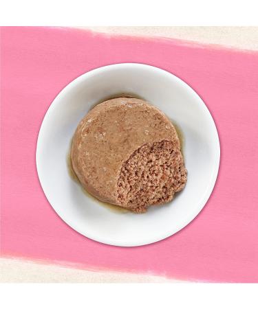 Purina Beyond Grain-Free Natural Adult Wet Cat Food Pate - Wild Salmon Flavor (12 Pack) - Buy Online on GoSupps.com