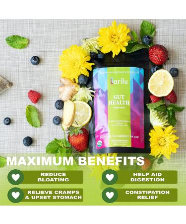 Larilu Gut Health Detox Tea - Natural Digestive Support with Peppermint, Ginger, Fennel - Reduce Bloating, Gas - Organic Herbal Tea (30 Cups) - Buy Online on GoSupps.com