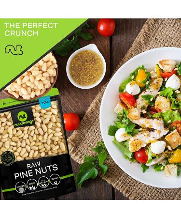 Raw Pine Nuts Pignolias - 5 LB Bulk Bag, Unsalted & Superior to Organic - Healthy Protein Snack, All Natural, Keto Vegan & Kosher - Prime Resealable Bag - Buy Online on GoSupps.com