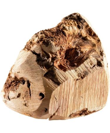 Chewies Chewing Root for Dogs - 100% Natural Durable Dog Toy | Size L for 20kg+ | International Shipping Available - Buy Online on GoSupps.com