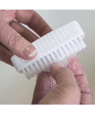 Sparta Plastic Hand and Nail Brush with Polypropylene Bristles - Ideal for Kitchens, Homes, and Restaurants - 3.5 Inches, White (Pack of 24) - Buy Online on GoSupps.com