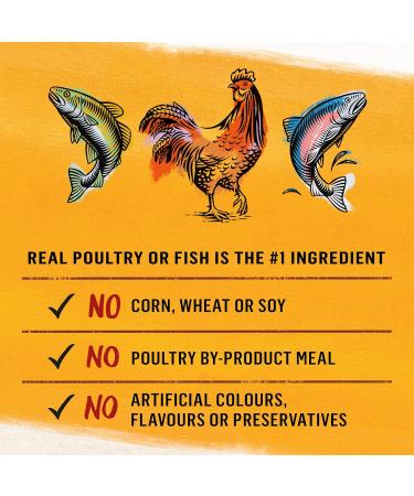 Beyond Grain Free Natural Dry & Wet Cat Food Variety Pack | Chicken & Egg Dry Food (1.36kg) + P t Wet Food (12x85g) - Buy Online on GoSupps.com