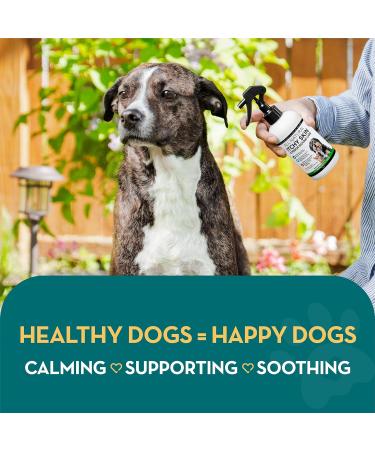The Healthy Dog Co Natural Itchy Dog Skin Relief Spray 250ml - Soothes Itchy Skin, Wounds, Biting & Scratching - Cat Itch Relief Included - Buy Online on GoSupps.com