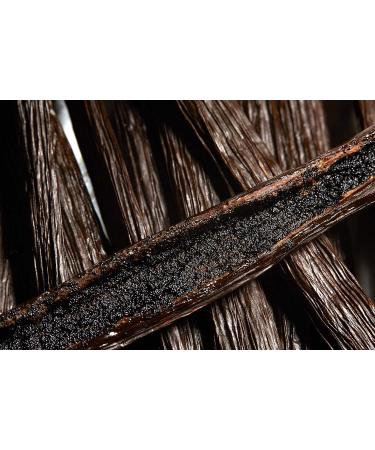Kiddu Gourmet Grade A Vanilla Beans for Baking - 12 Whole Pods in Resealable Pouch 18cm-20cm - Buy Online on GoSupps.com