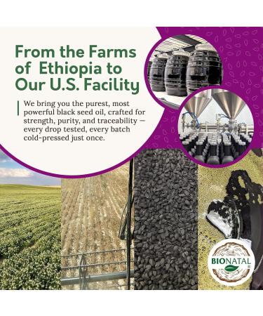 BioNatal Ethiopian Black Seed Oil 16oz PET/Plastic Bottle Cold Pressed Nigella Sativa Black Cumin Seed Oil Unrefined & Non-Filtered High TQ Up to 4.64% Supports Immune System Digestive 16 Fl Oz (Pack of 1) PET (Plas  - Buy Online on GoSupps.com