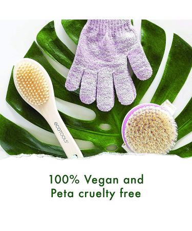 EcoTools Dry Body Brush - Enhance Your Skincare Routine & Boost Circulation - Buy Online on GoSupps.com