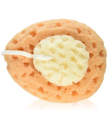 Body Benefits 2 Faux Sea Sponges