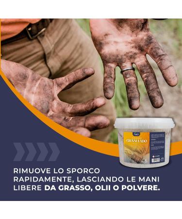  LUCCY LUCCY Professional Hand Paste for Workshops 5 Liters Extra Strong Granulated Hand Soap Hand Soap for Mechanical Workshops - Buy Online on GoSupps.com